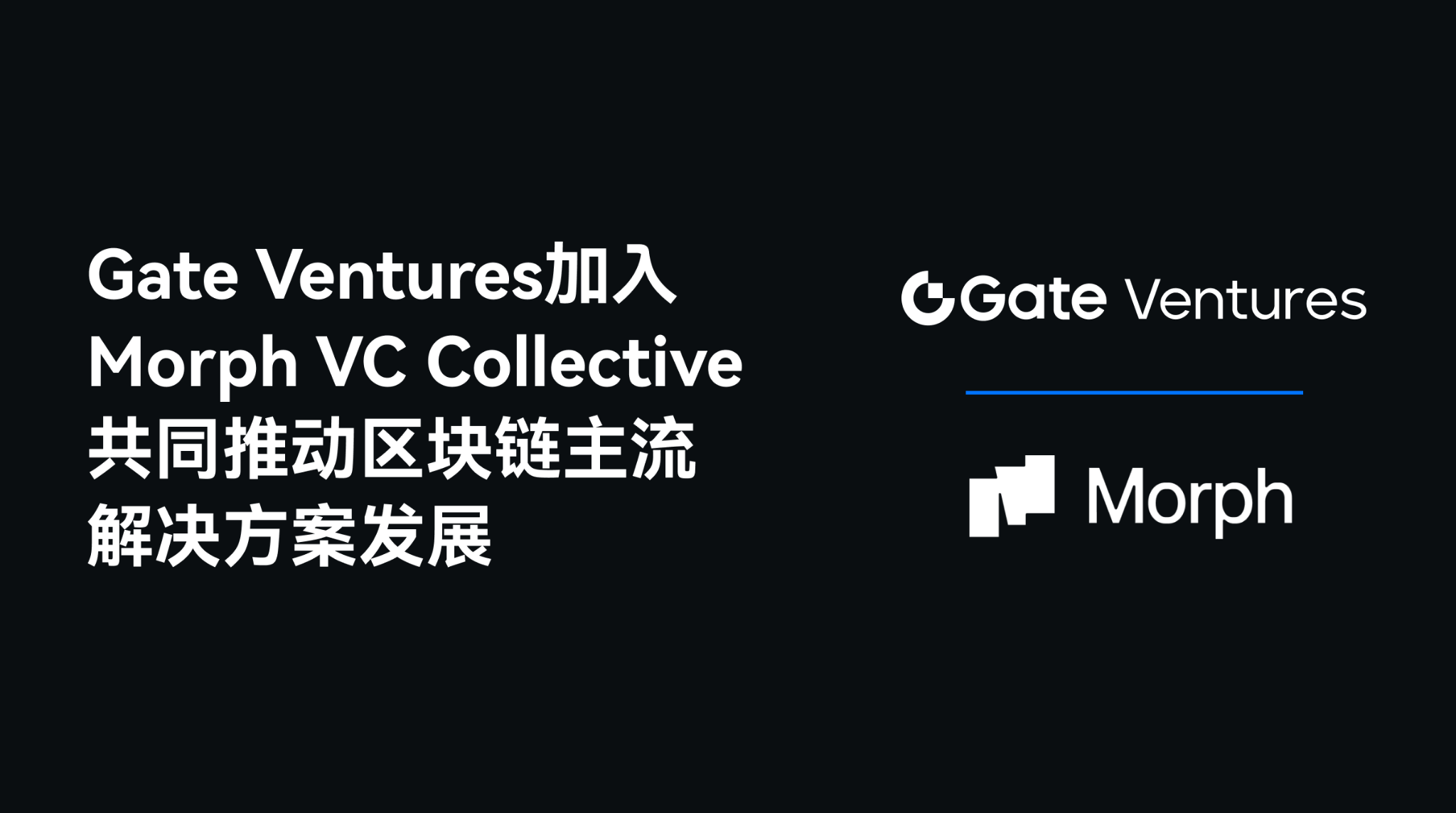 gate ventures加入morph vc collective,共同推动区块链主流解决方案发展